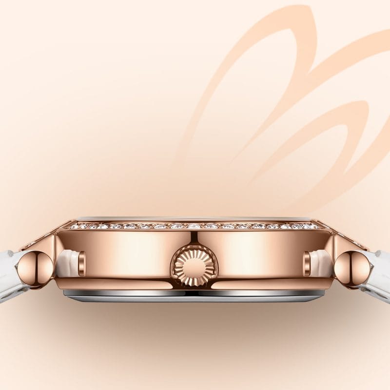 Sa6693ef8df234b5090515eb51e00c5586